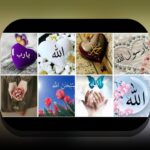 آشنایی با عکس های دینی زیبا: چگونه تصاویر معنوی به زندگی روزمره ما رنگ و بوی خاصی می‌بخشند؟